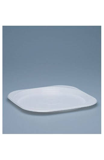 Assiette blanche plate 220 x 220 mm (800)